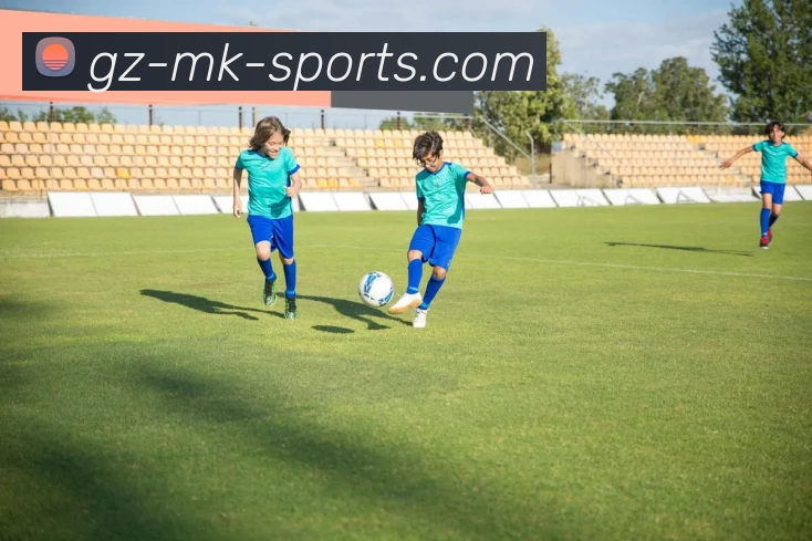 mk体育网站平台生态图