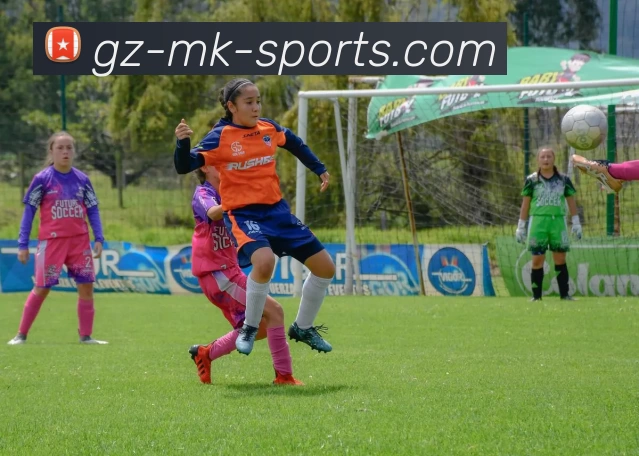 mk体育网站全站App